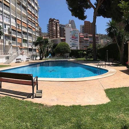 בנידורם Albatros Apartment מראה חיצוני תמונה